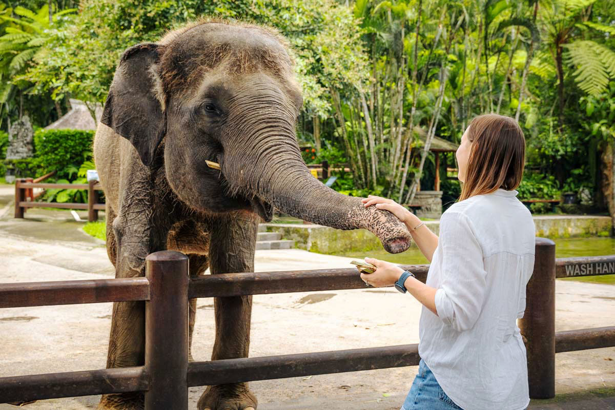 Bali Adası - Kurban Bayramı Turu ( Türk Hava Yolları ) Direkt Uçuş